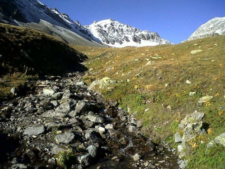 Sankt Moritz Chesa Ruinatsch 50 Appartement Buitenkant foto